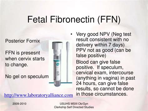 fate ffn